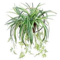 uploads/erp/collection/images/Home Garden/CongDing/XU0612257/img_b/XU0612257_img_b_5